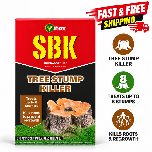 Sbk tree stump - tree, treats